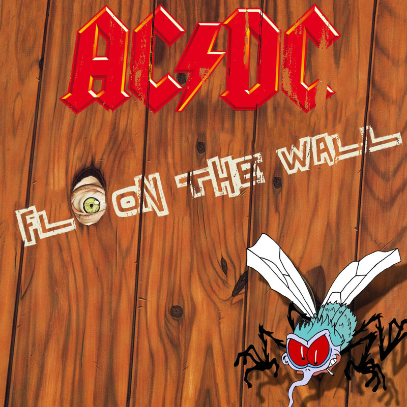 AC/DC "Fly on the Wall"