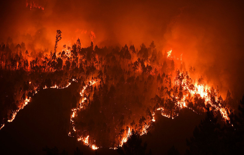 Лесные пожары в Португалии убили больше 60 человек