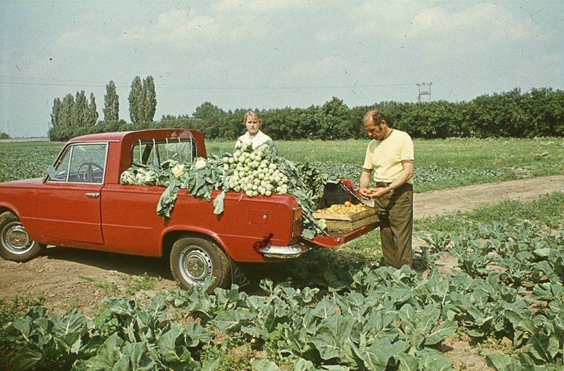 при Социализме трудящийся человек мог позволить себе машину, дачу, квартиру, а главное было изобилие дешёвой сельхозпродукции, которую выращивали в стране