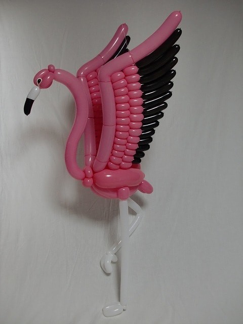Величественный фламинго