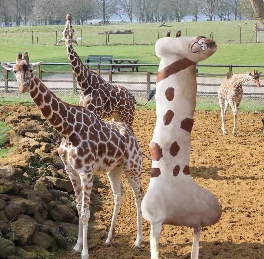 Жизнерадостный жираф