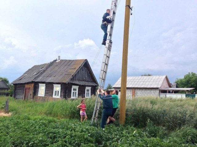 В Брестской области работники МЧС приехали спасти выпавшего из гнезда аиста