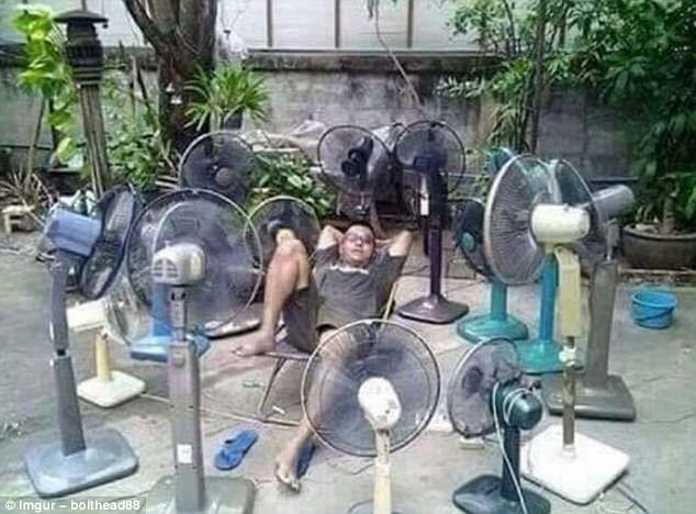 Вентилятор вам в голову: подборка забавных способов борьбы с жарой
