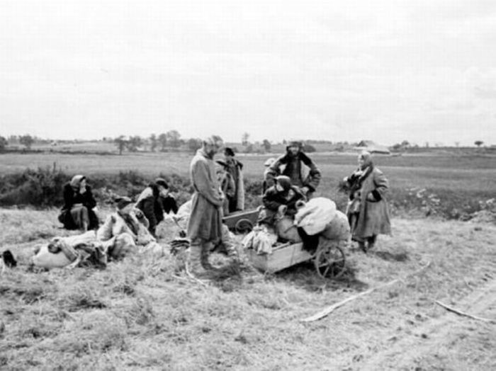 Беженцы под Псковом, июль 1941 г.