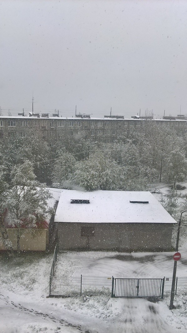 Июньский снежок в Мурманске. Боже, как красиво! 
