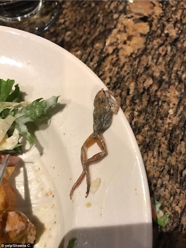 Жительнице Калифорнии в ресторане подали дохлую лягушку