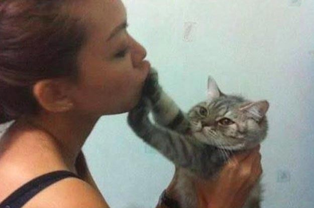 "Никто в моей жизни не отказывался от моего поцелуя, кроме этой кошки"
