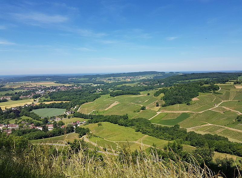 Château-Chalon. Знаете, что такое "желтое вино"? Сейчас узнаете!