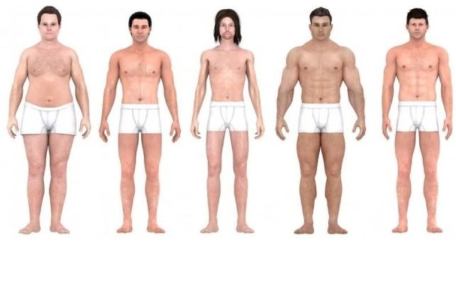Исследователи Института неврологии с помощью программного обеспечения создали 3D модели. Цель была следующая: определить наиболее оптимальную модель для обоих полов.