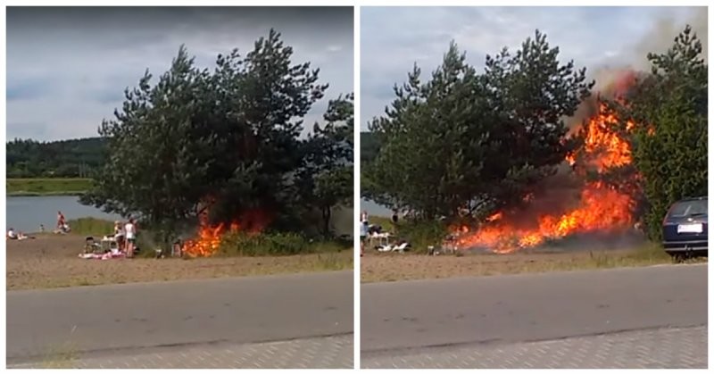 Раз, два, три - дерево гори! Как приготовление мяса на природе в Польше превратилось в пожар за 30 секунд 