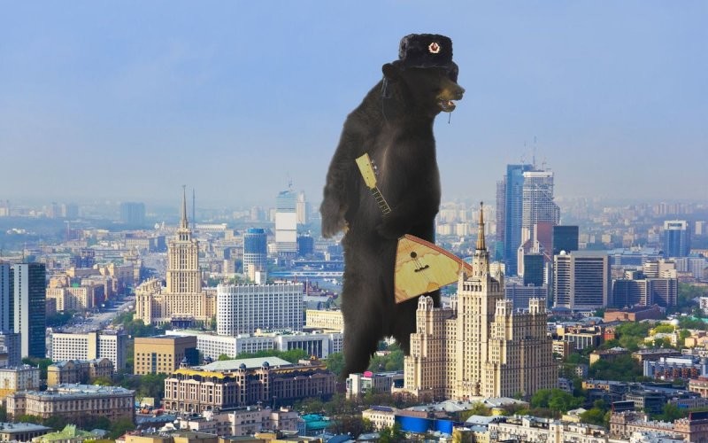Почему русские медведи не едят русские регистраторы?  