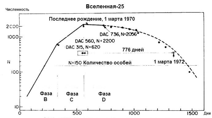 ЭКСПЕРИМЕНТ ВСЕЛЕННАЯ 25 (Мышиный рай) как отражение  современного обществатва