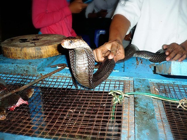 Ритуал поедания кобры. Вьетнам