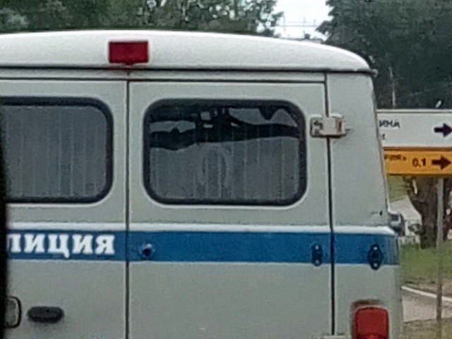 Автовсячина