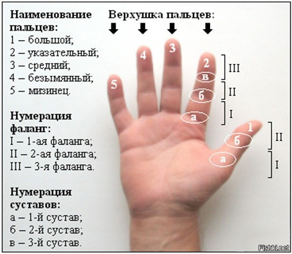 не знаю зачем - но пусть будет 