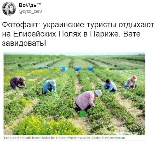Политические коментарии соцсетей - 153