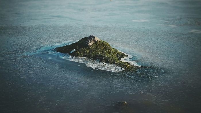 Камень, поросший мхом, напоминает тропический остров