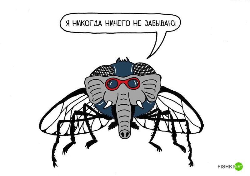 Русские не преувеличивают, они "делают из мухи слона"
