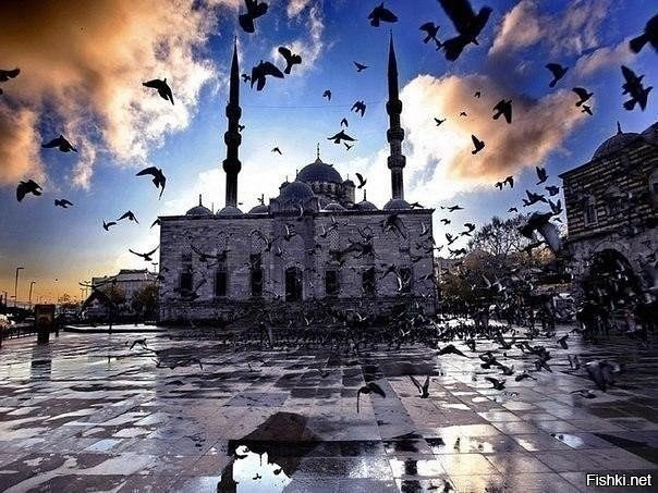 Что бы не говорили, а Стамбул красивый и интересный город