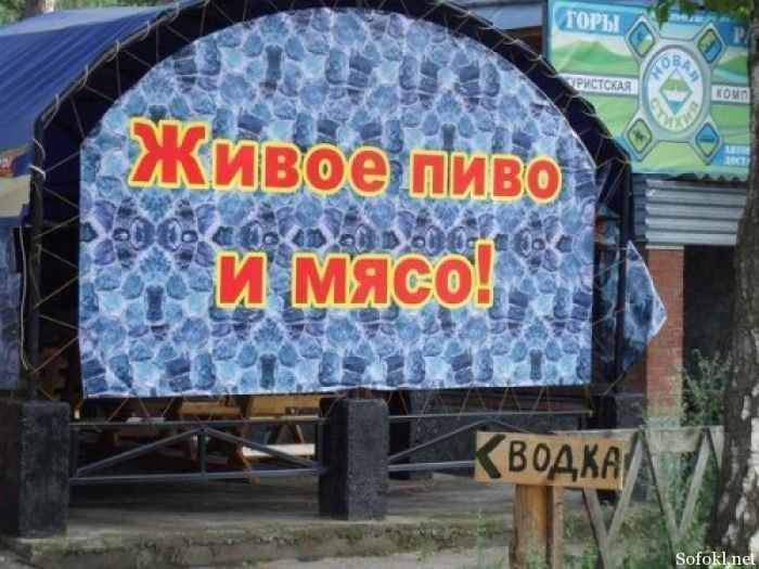 Маразмы месяца