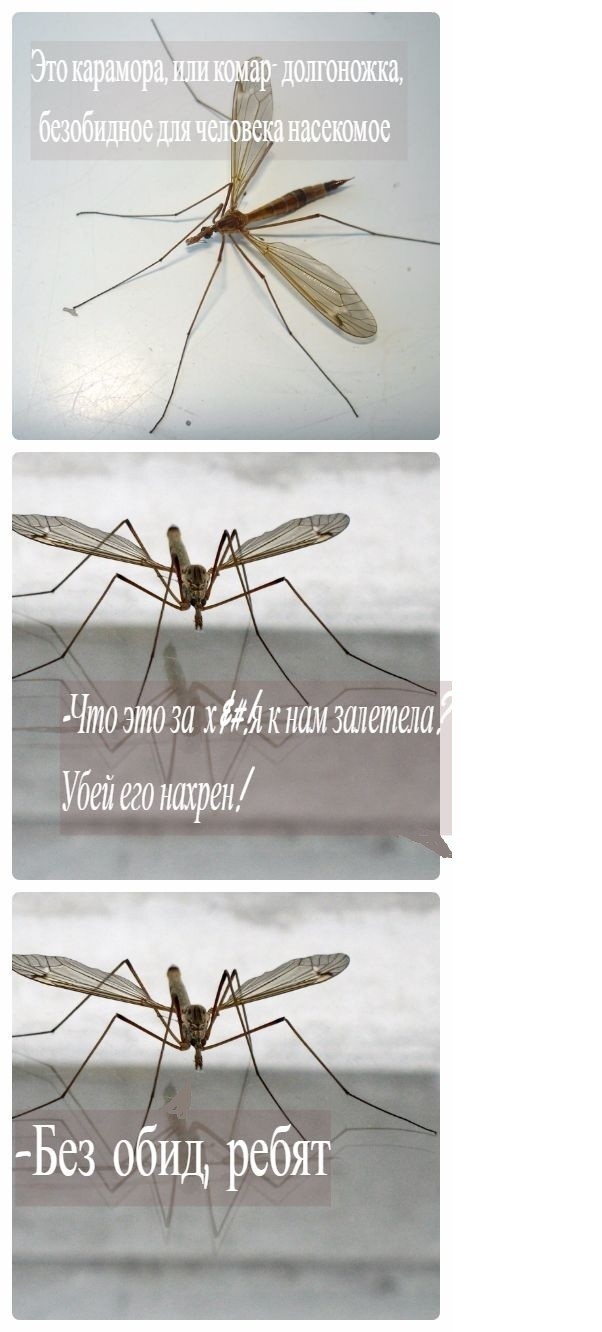 В детстве: Аааааа... Это "малярийный комар"... спасайся кто может:)))