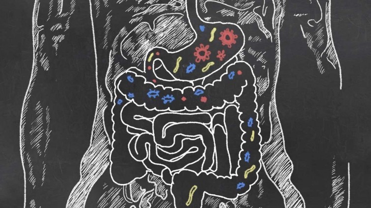 В вашем теле живёт больше бактерий и других микроорганизмов, чем людей на всей нашей планете