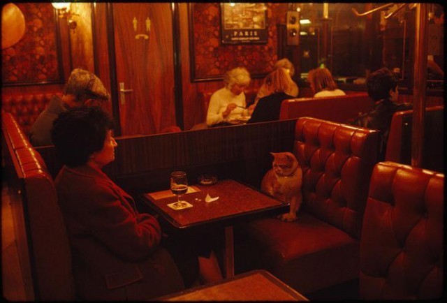 Завсегдатаи кафе в Париже, май 1988 год