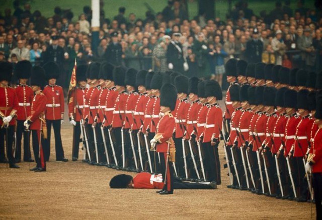 Ирландские гвардейцы не обращают внимания на упавшего в обморок гвардейца в Лондоне, Англия, июнь 1966