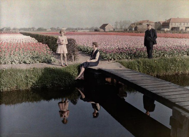 Местные жители отдыхают на тюльпанном поле вдоль канала в Харлеме, Нидерланды, 1931