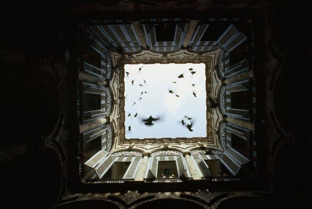 Стая птиц взлетает в закрытом внутреннем дворе в Старой Гаване, декабрь 1987