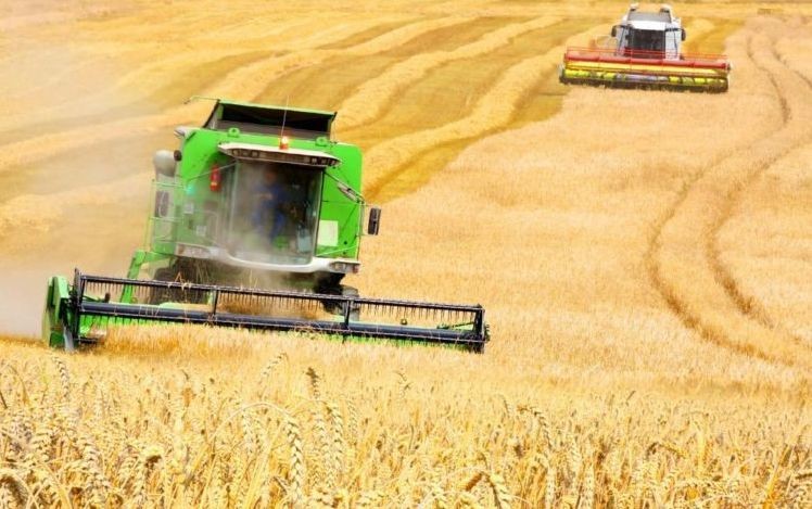 33. Россия — лидер мировой торговли пшеницей в сезоне- 2016/17
