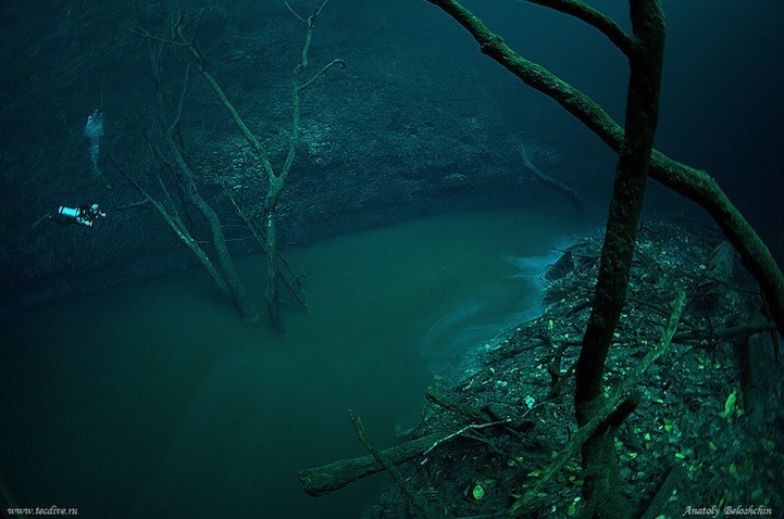 Если смотреть с поверхности, то ничего не будет видно – только толща воды. Но стоит только опуститься на глубину в 18-20 метров и вы как будто-то попадаете в другой мир. Перед вами открывается мистическая картина подводной реки
