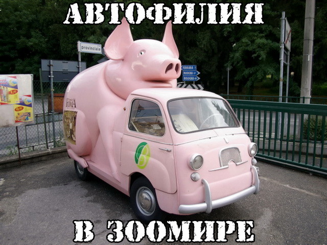 Автовсячина