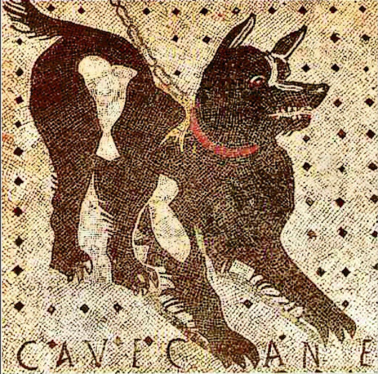 Они найдены даже в древнем искусстве. В Помпее была обнаружена мозаика собаки. Слова внизу, Cave Canem , переводят как «остерегайтесь собаки». Считается, что это должно было предупредить посетителя.