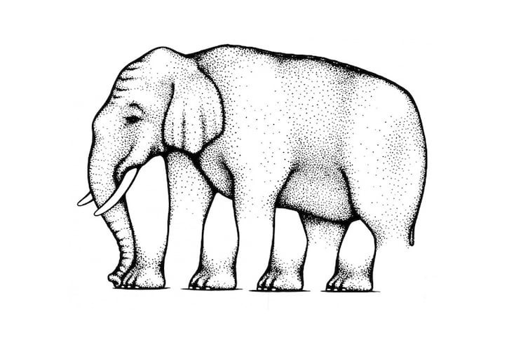 17. Может показаться, что с последней ногой у этого слона что-то не так... Советуем присмотреться к остальным