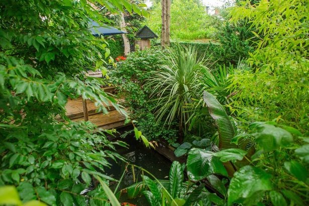 Англичанин превратил собственный сад в тропический лес