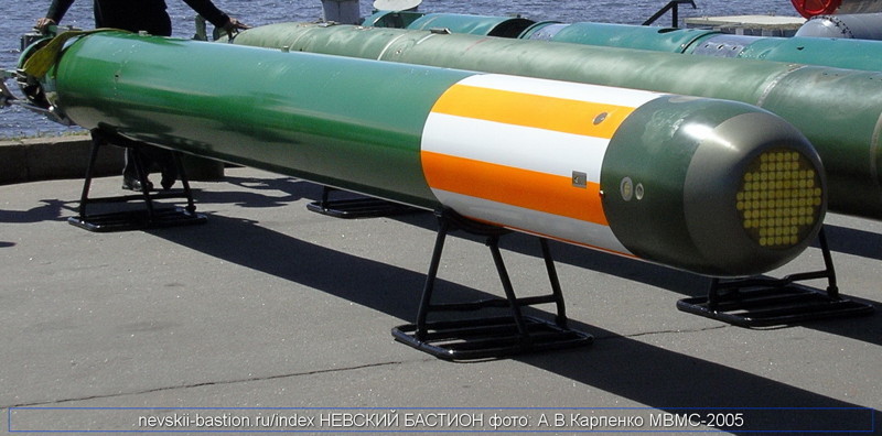 ВМФ РФ принял на вооружение тепловую торпеду «Физик-2»