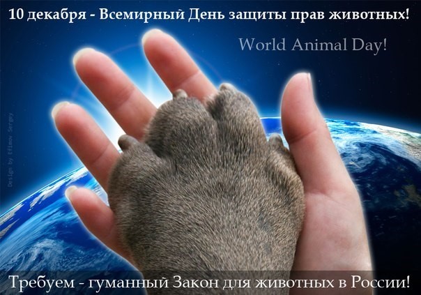 Роскомнадзор заблокировал сайты по продаже редких животных