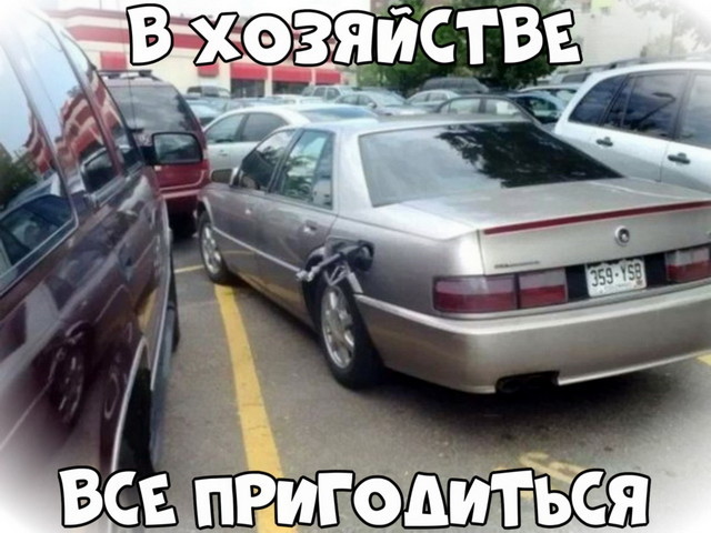 Автовсячина