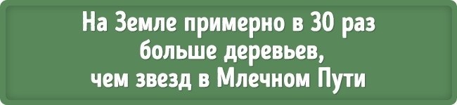 17 научных фактов, которые граничат с фантастикой