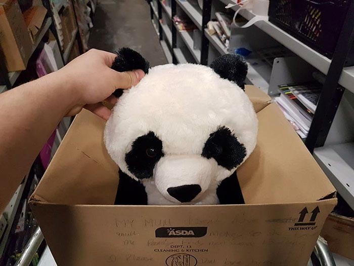 Эта плюшевая панда украла сердце 10-летнего Леона Эшворта из Ливерпуля, Британия