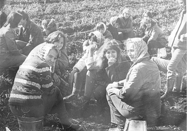  Студенты на уборке картофеля, СССР