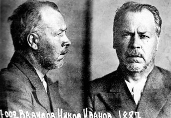 9.07.1941 учёного-генетика академикa Н.И. Вавилова приговорили к расстрелу.