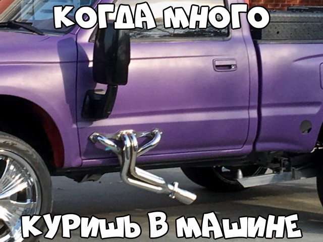 Автовсячина