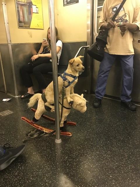 В метро Нью-Йорка 