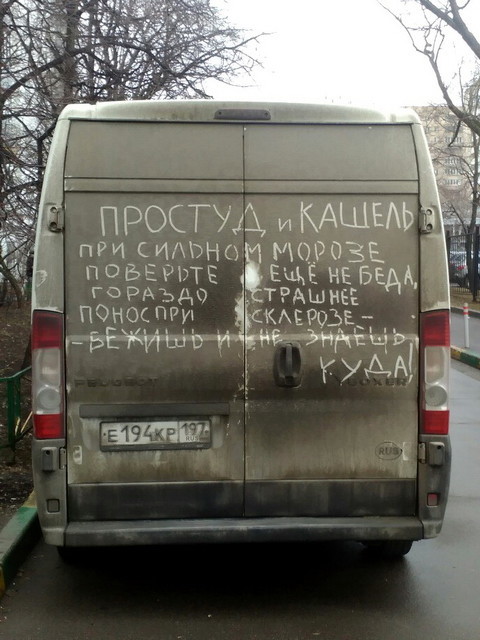 Автовсячина