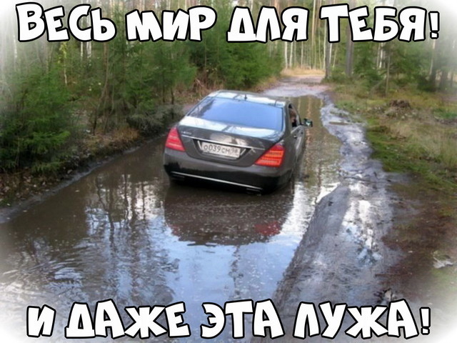 Автовсячина