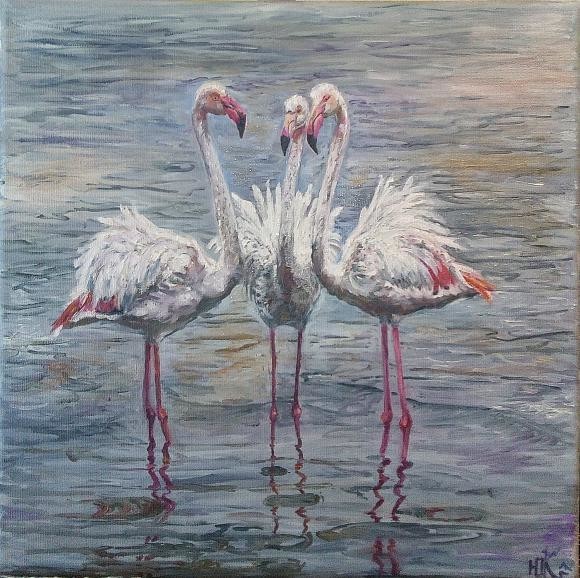 Фламинго на зимовке. Кипр