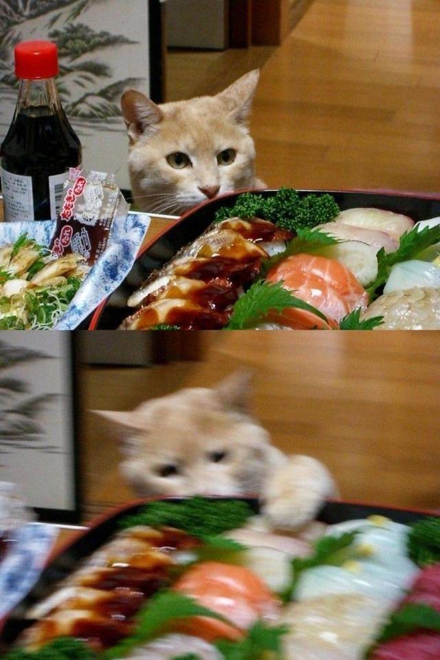 Воришка суши 