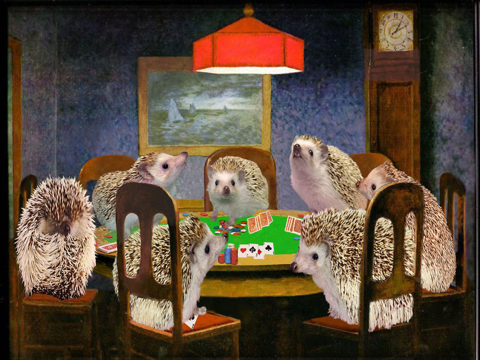 Ежи за покером